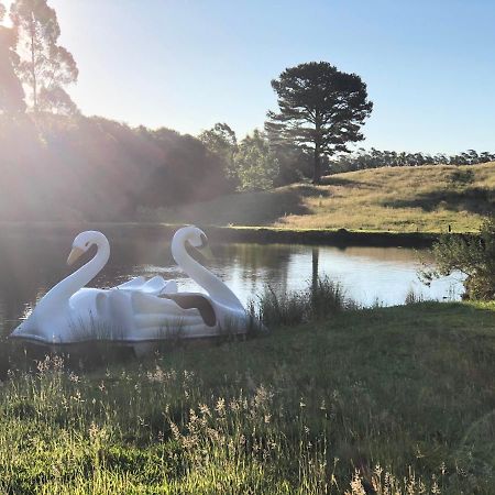 Отель Fazenda Angelin Padre Eterno Экстерьер фото