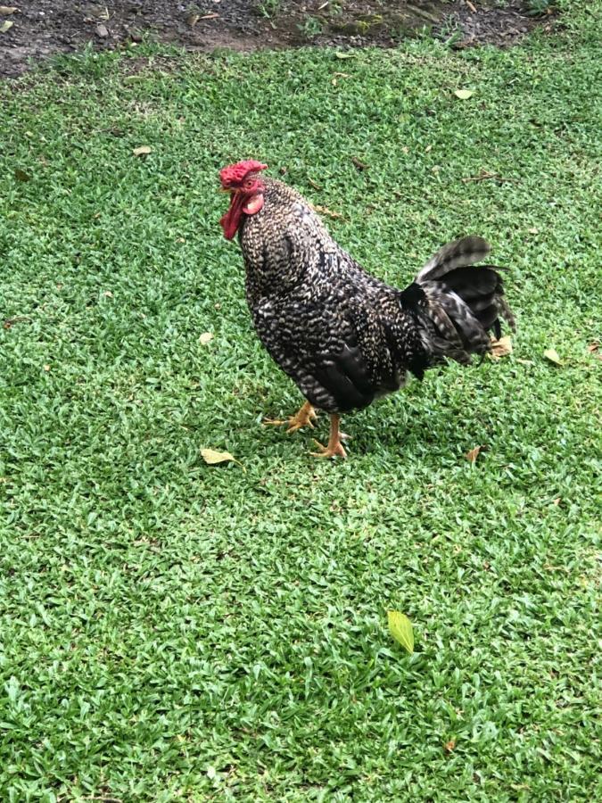 Отель Fazenda Angelin Padre Eterno Экстерьер фото