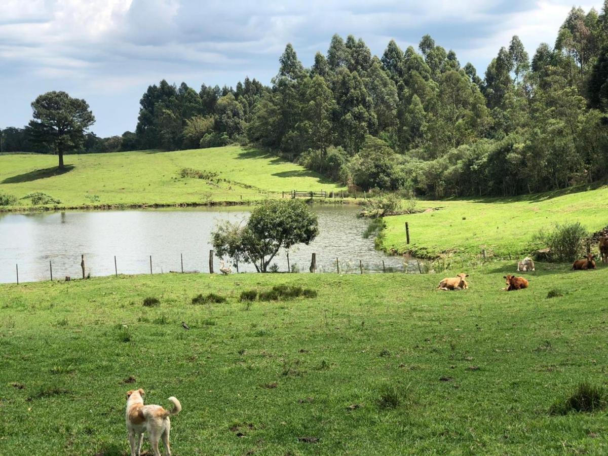 Отель Fazenda Angelin Padre Eterno Экстерьер фото