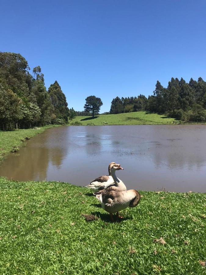 Отель Fazenda Angelin Padre Eterno Экстерьер фото