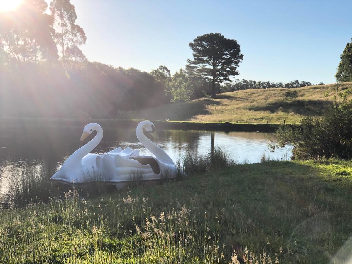 Отель Fazenda Angelin Padre Eterno Экстерьер фото